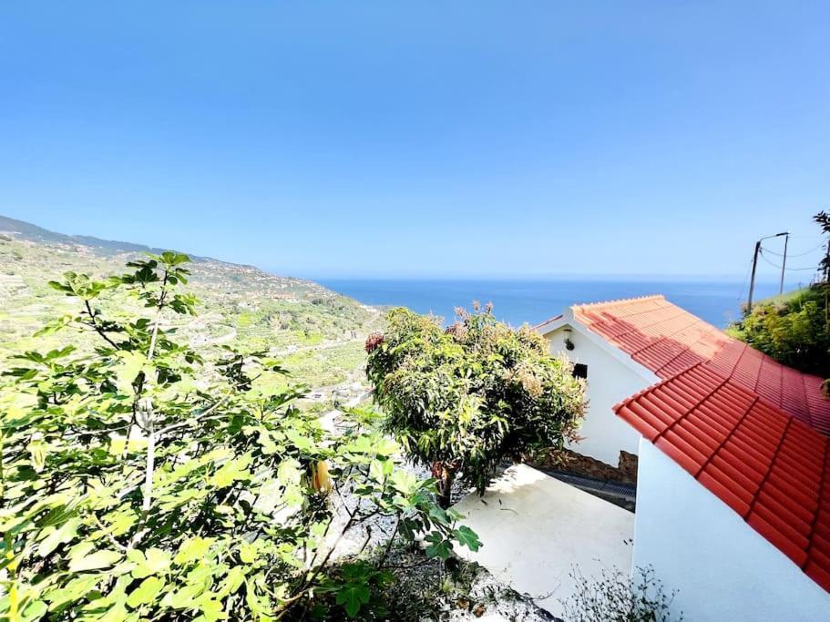 Mar A Vista By Your Madeira Rentals بونتا دو سول المظهر الخارجي الصورة
