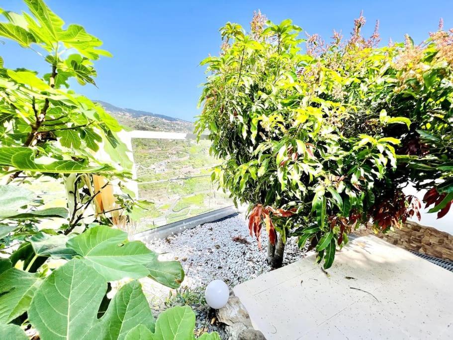 Mar A Vista By Your Madeira Rentals بونتا دو سول المظهر الخارجي الصورة